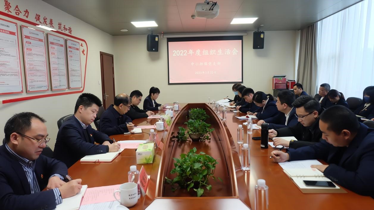 中小尊龙凯时组织生活会.jpg
